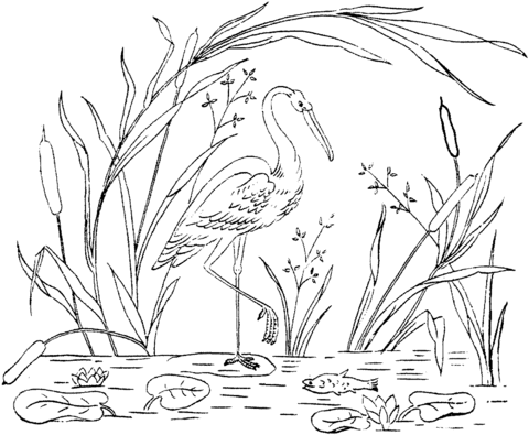 Stork Fishing In A Backwater Coloring Page